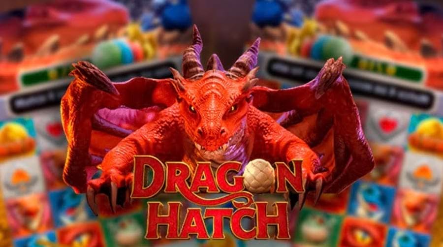 melhor site para apostar na copa