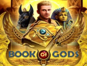 slot casino png